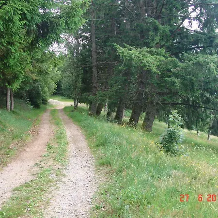 Pensjonat Les O Welches Cote Orbey