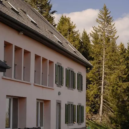 Casa de hóspedes Les ô Welches Côté 3*