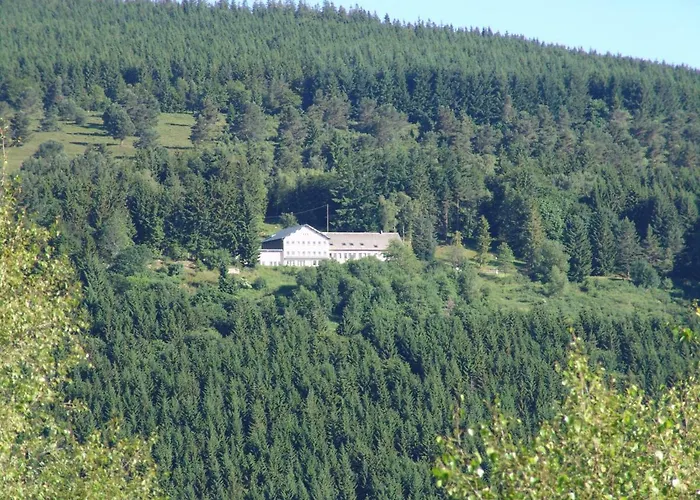 Gæstehus Les O Welches Cote 3*